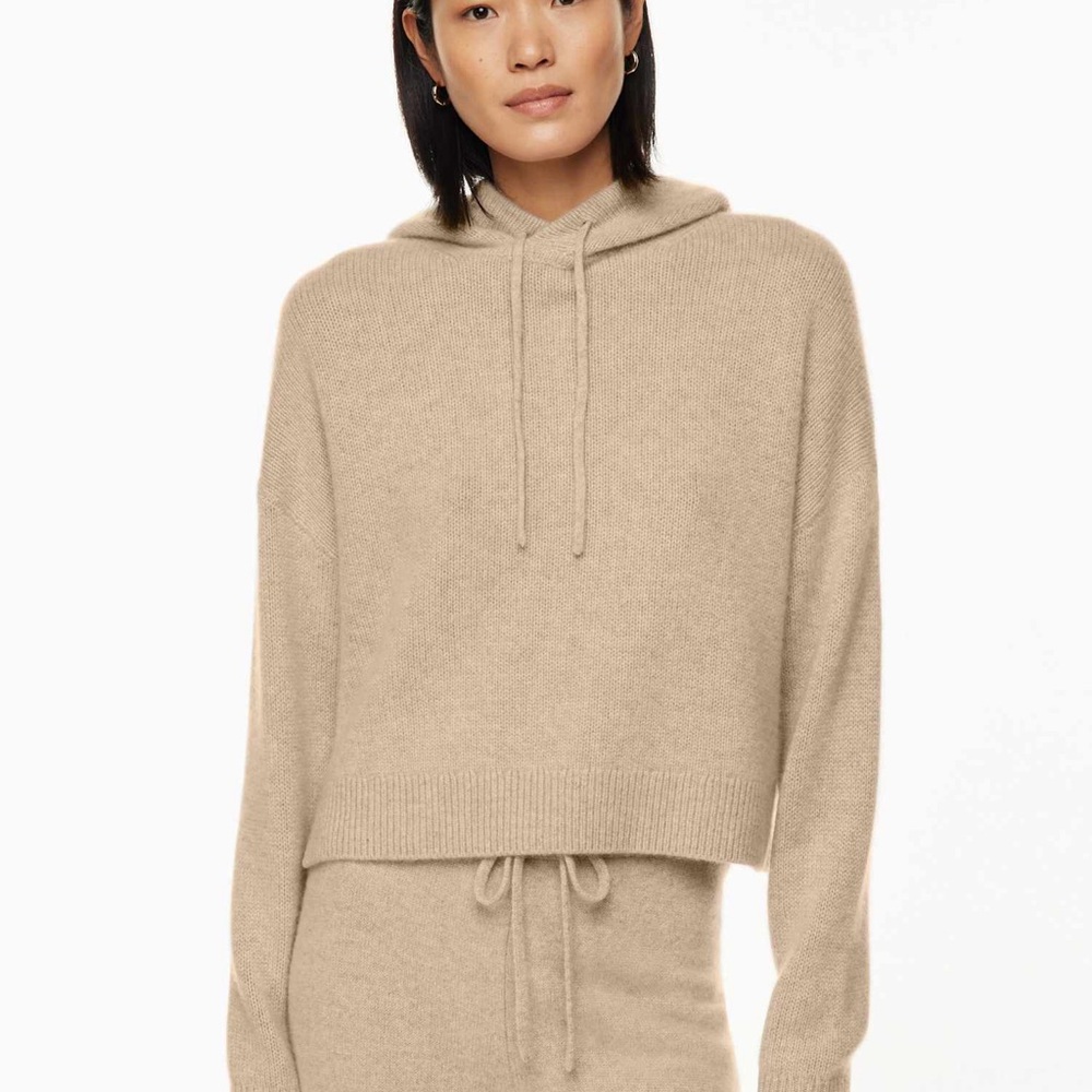 Aritzia the group by babaton luxe cashmere hooded sweater.